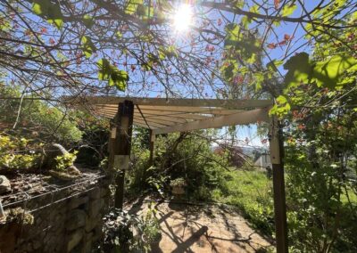 Pergola, Burgdorf
